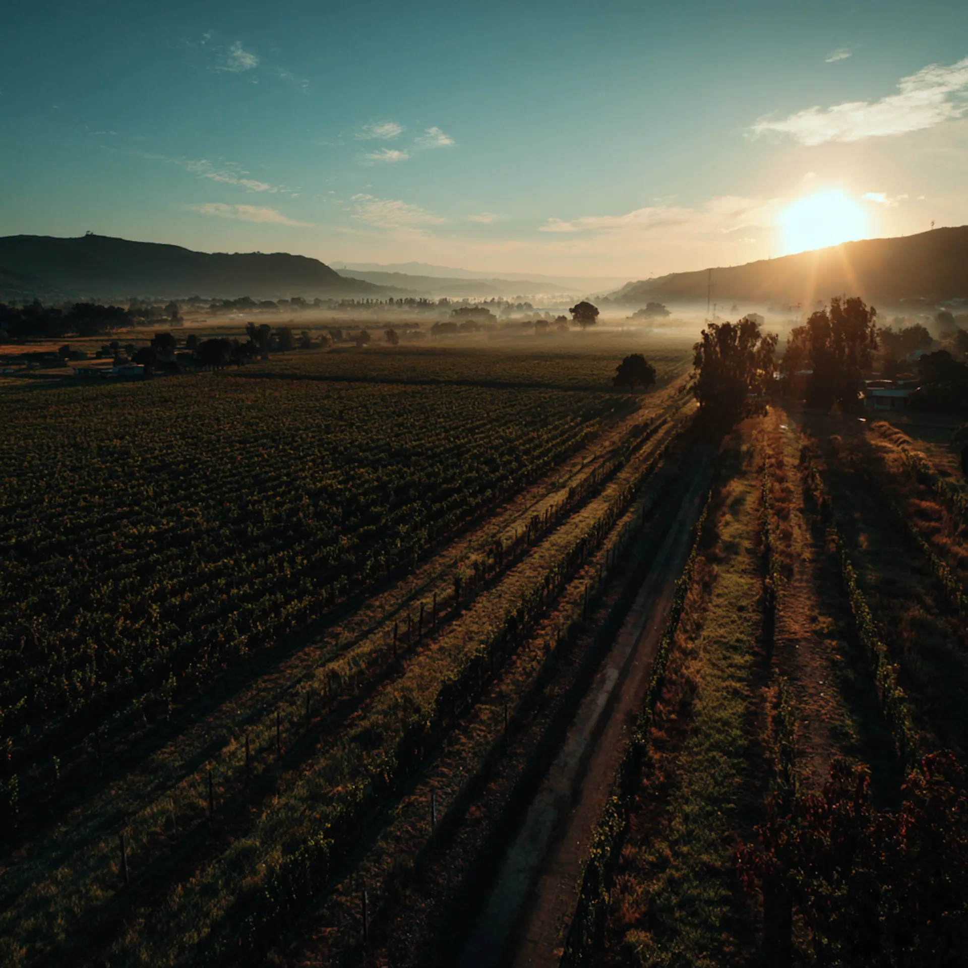 DENOMINACIÓN DE ORIGEN (DOC) - Imagen 4