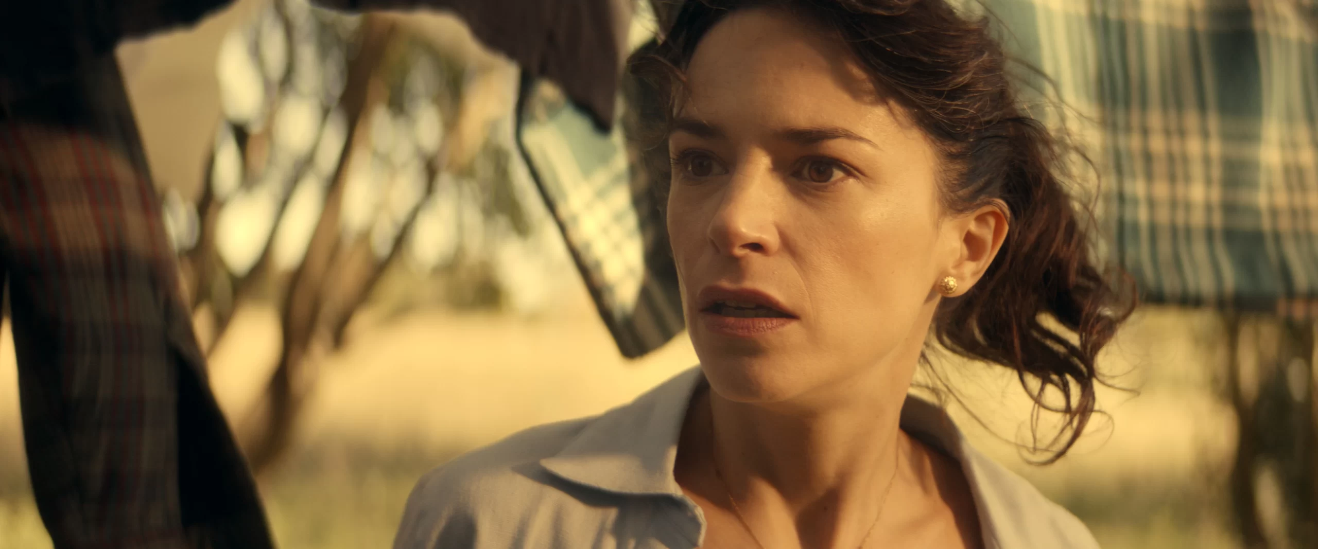 El Canto de las Cigarras (ECDLC) - Imagen 3