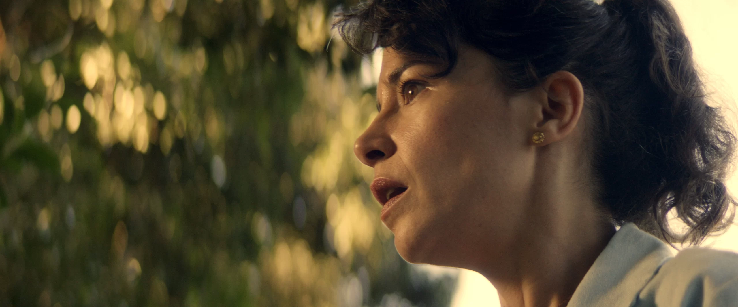 El Canto de las Cigarras (ECDLC) - Imagen 2