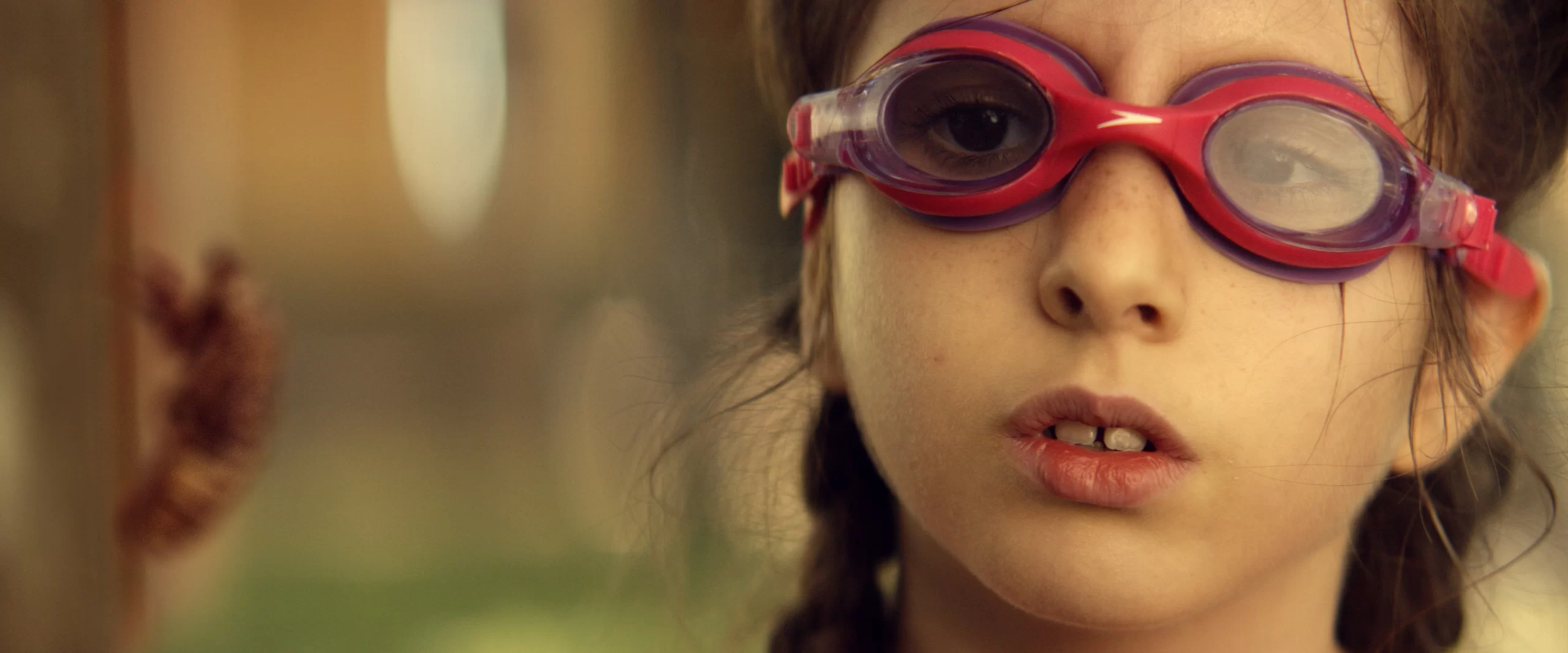 El Canto de las Cigarras (ECDLC) - Imagen 6