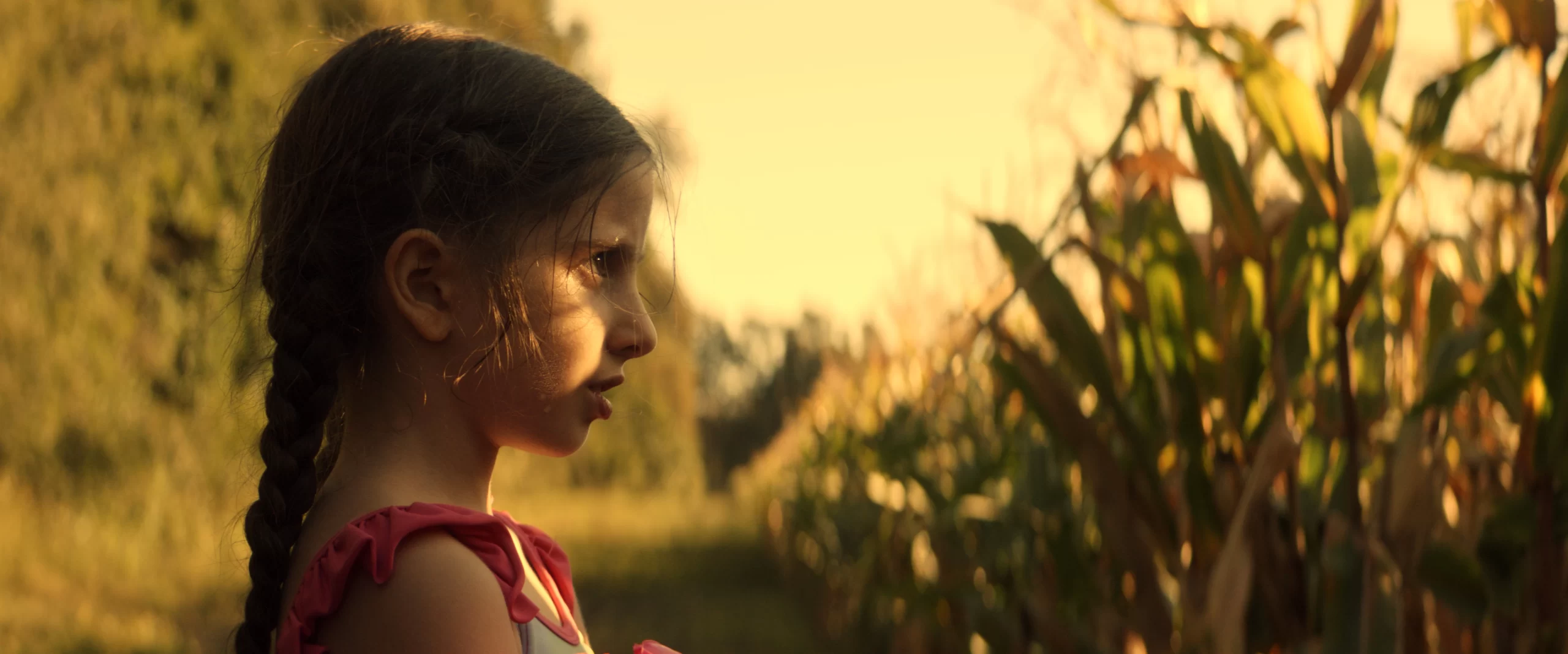 El Canto de las Cigarras (ECDLC) - Imagen 1